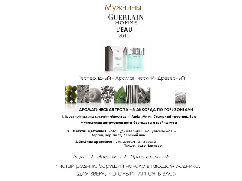 Мужчины  Ледяной - Энергичный – Притягательный  АРОМАТИЧЕСКАЯ ТРОПА – 3 АККОРДА ПО